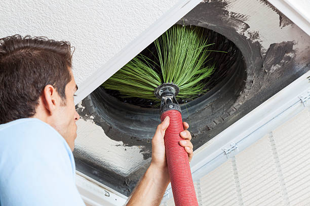 Best Air Duct Cleaning Company Near Me  in Rosedale, WA